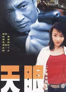 《天眼(2003)》海报