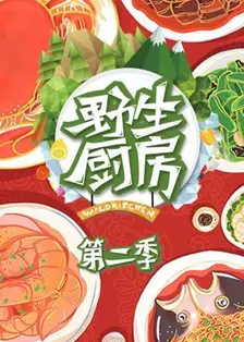 《野生厨房2 最强年夜饭》剧照海报