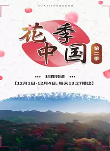 花季中国第二季 海报