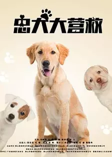 《忠犬大营救》海报