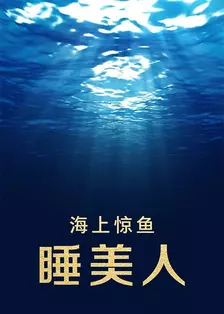 《海上惊鱼 睡美人》剧照海报