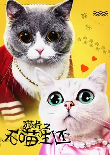 猫片之无喵生还