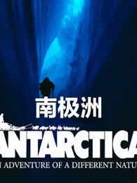 南极洲 海报