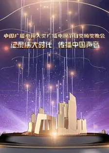 中国广播电视大奖广播电视节目奖颁奖晚会 海报