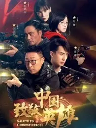 致敬中国英雄 海报