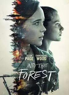 森林深处 海报