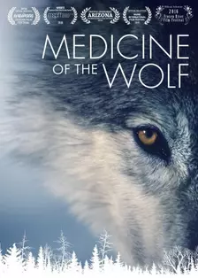 《狼 人类的解药》海报
