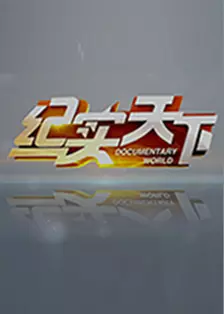 纪实天下