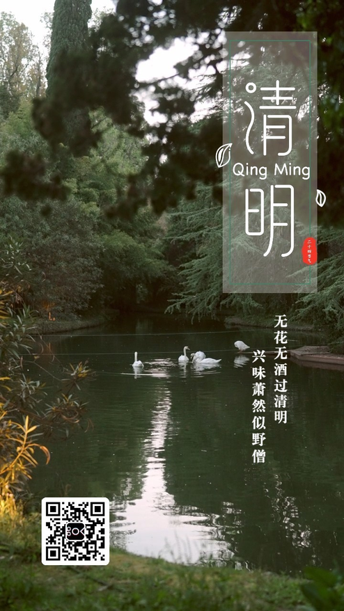 春季简约清明节气模板