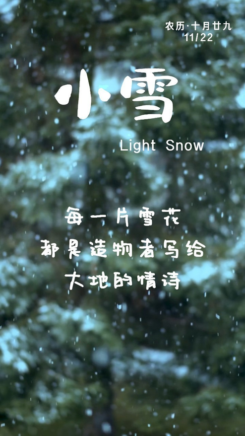 二十四节气小雪节日海报