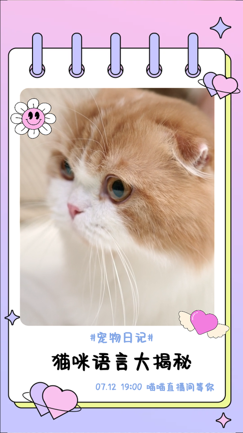 创意可爱宠物日记视频模板
