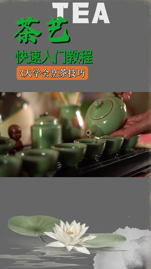 茶艺中国风种草视频模板