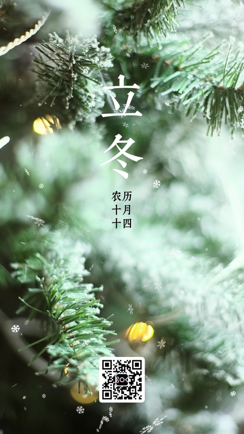 冬季节气海报通用模板