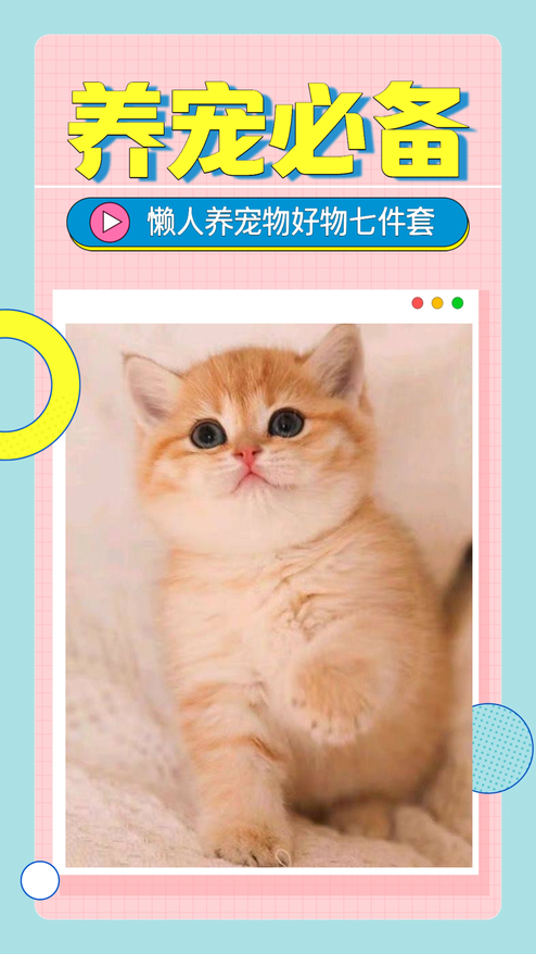 可爱简约宠物用品种草推荐视频模板