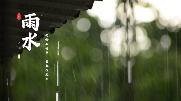 春雨雨水节气素材模板