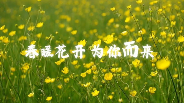 春暖花开自媒体短视频通用文字片头