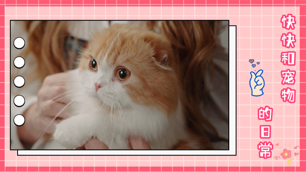 粉红可爱vlog宠物店活动促销横屏视频模板