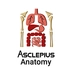 Asclepius Anatomy Online
