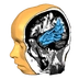 Brain Tutor