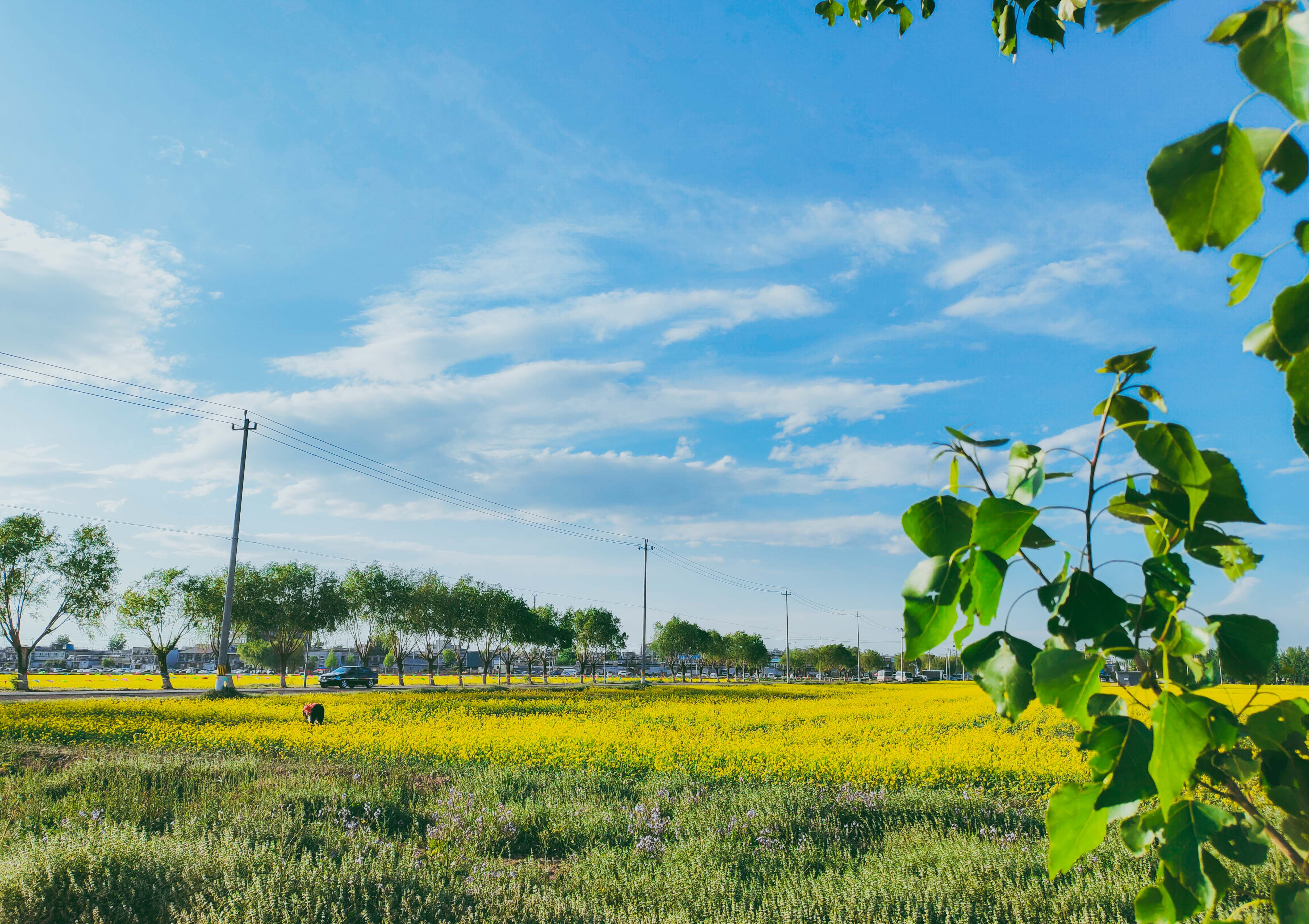 粉丝生活楼台村像童话世界更像是漫画中的世界