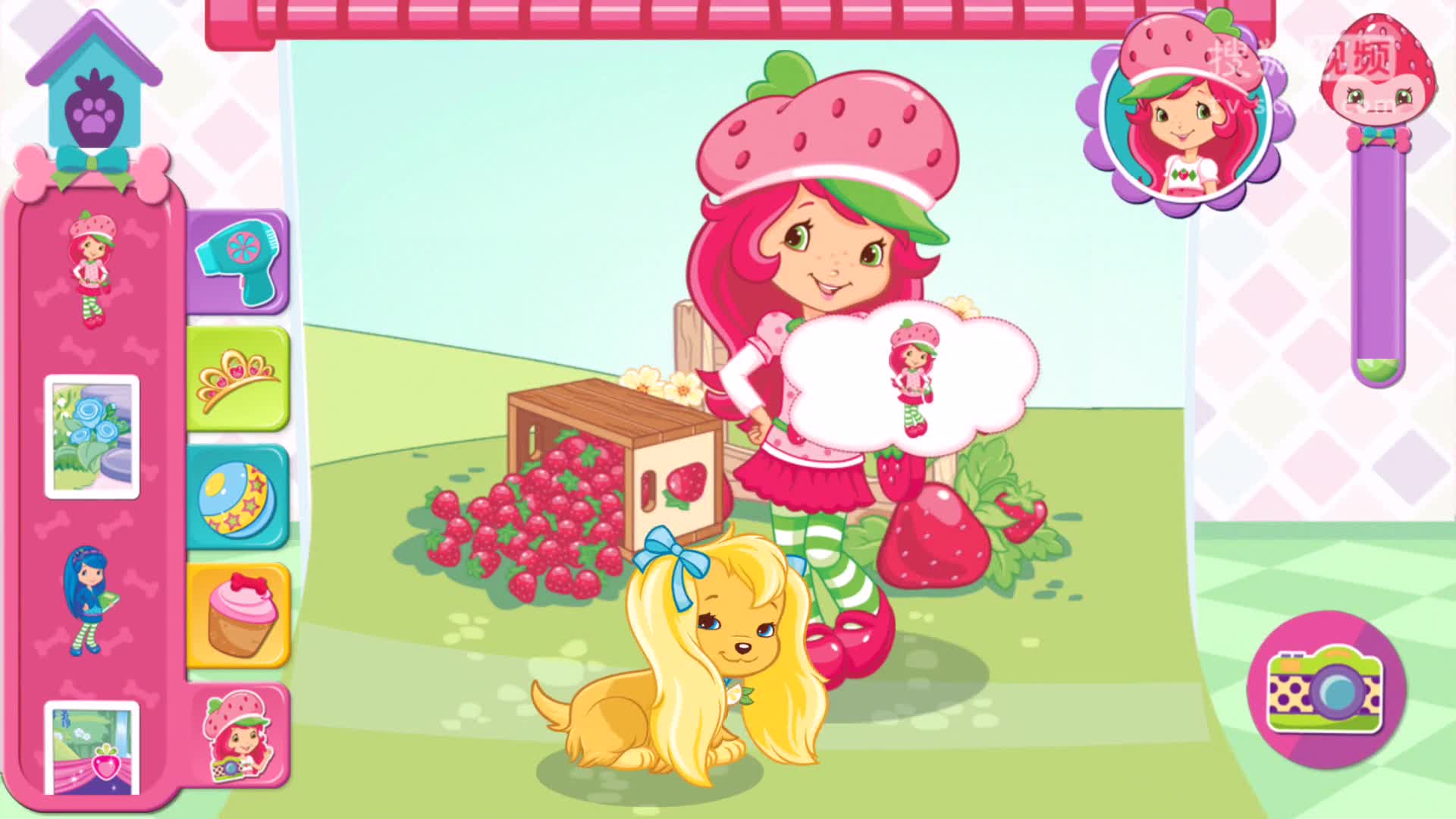 草莓甜心狗狗乐园图片