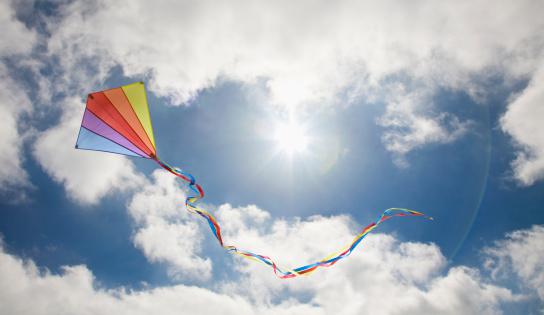 我们没有必要知道断线的风筝会飞到哪里去