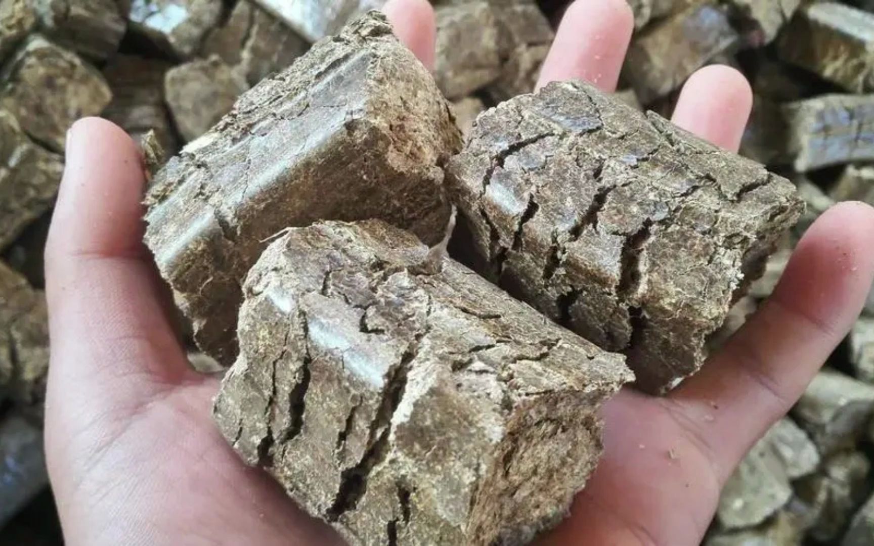木质颗粒市场观察：绿色发展的新引擎