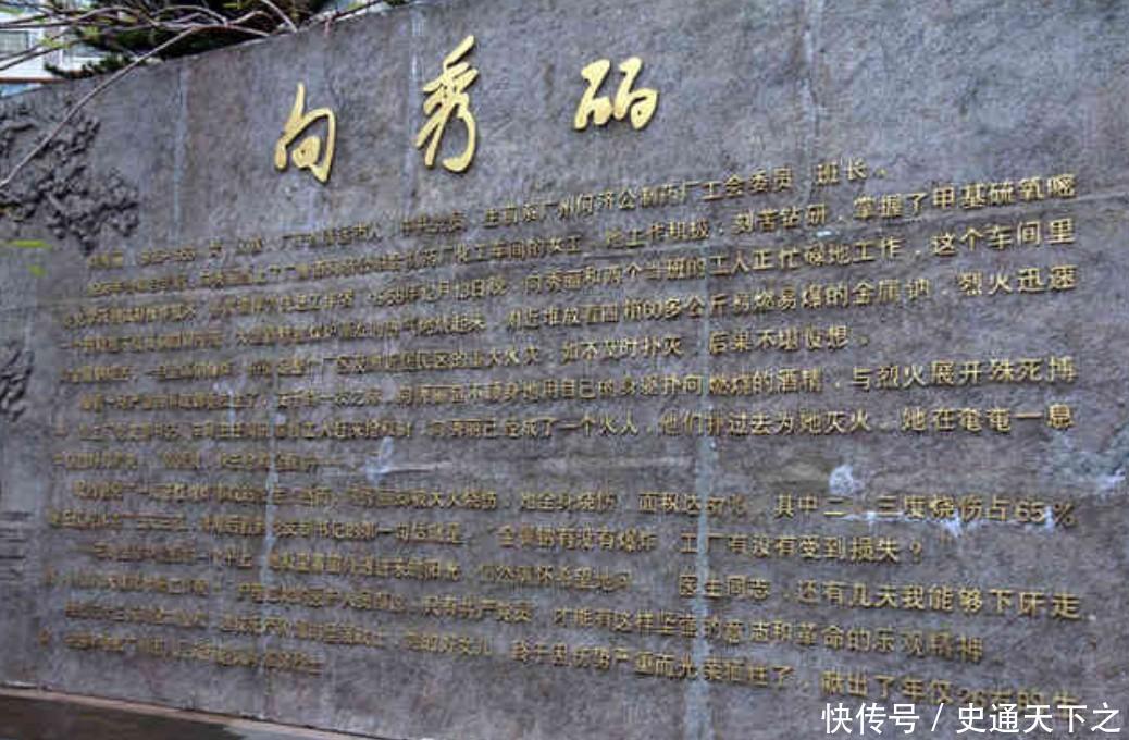 向秀丽唯一的儿子:母亲牺牲时还不足2岁,现在过得怎样? - 360娱乐,你开心就好