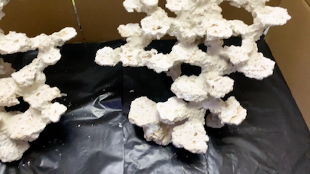 造浪泵技术的发展与应用分析