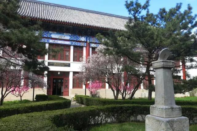 未名湖畔,杂花生树,桃花,玉兰,樱花,迎春……认识的,叫不出名的都绽放