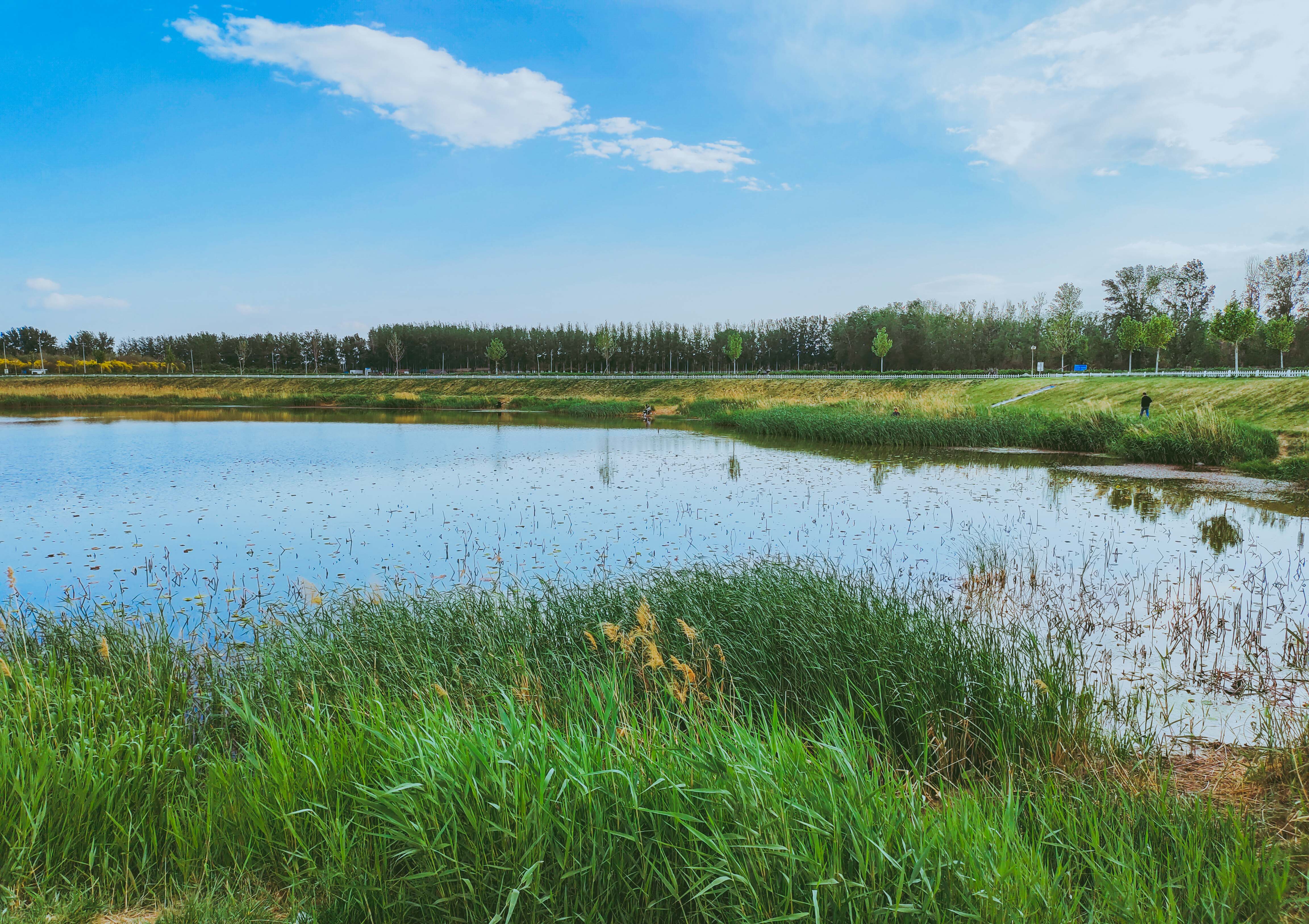粉丝生活楼台村像童话世界更像是漫画中的世界