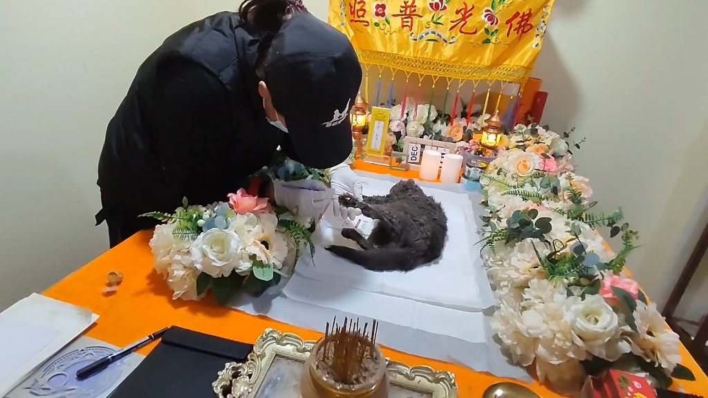 宠物火化费用:透明服务背后的成本因素