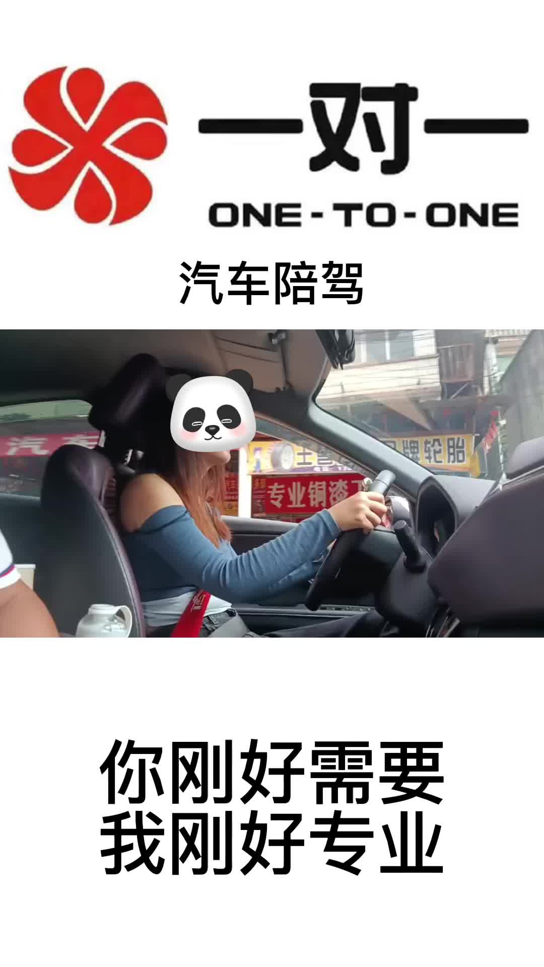 汽车陪驾:新手司机的得力助手