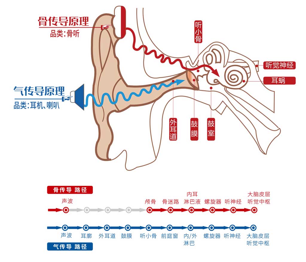 韶音openmove as660骨传导耳机