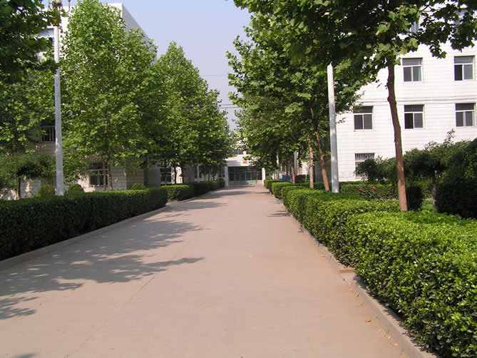 石家庄外经贸职业学院