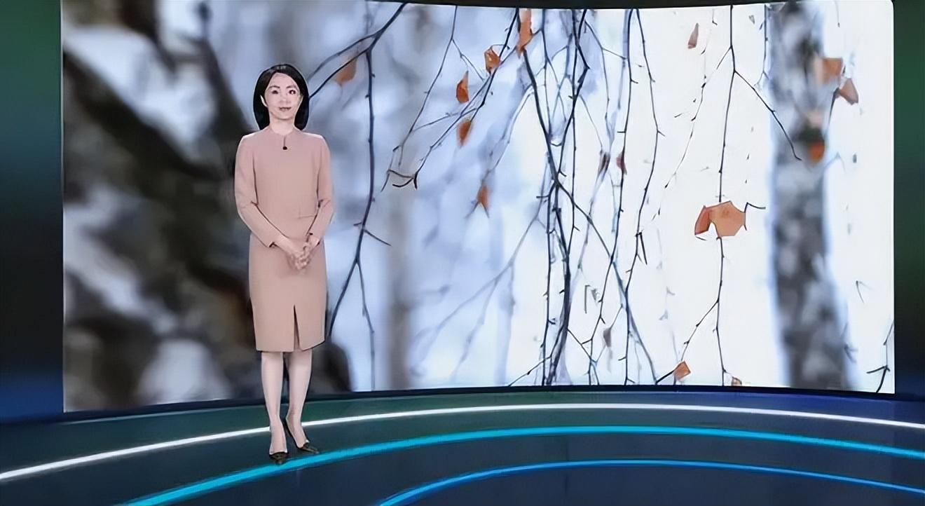 央视主播杨丹:嫁初恋丁克15年愁坏婆婆,40岁意外得子全家乐开怀 - 360娱乐,你开心就好