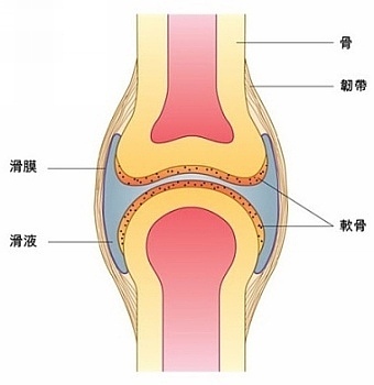 经常咔咔掰手指 会患上关节炎吗?