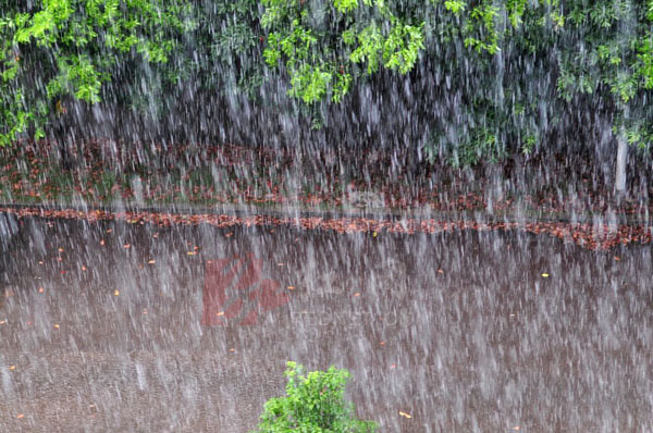 倾盆大雨的倾图片