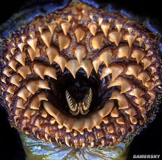 各种深海大河里的可怖怪物