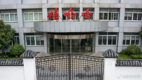 杭州娃哈哈集团总部图片