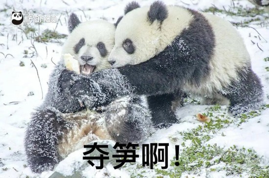 网络用词夺笋啊关联名称被申请注册商标