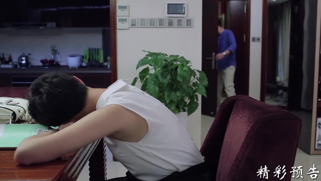 爱情碟中谍dvd版