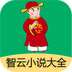 智云小说大全