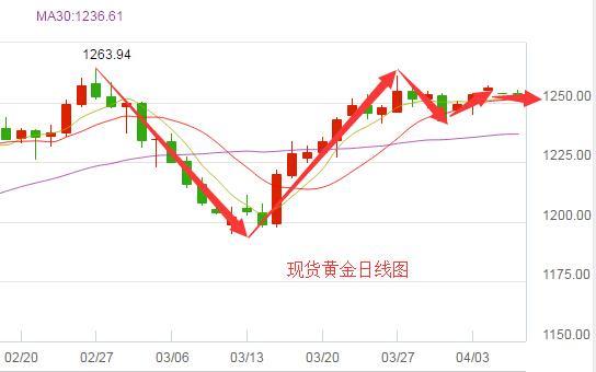 2017年市场上黄金价格(2017年国内黄金价格走势图)