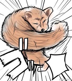 兄贵狐狸vs肌肉柴推特网友的麒麟臂之战