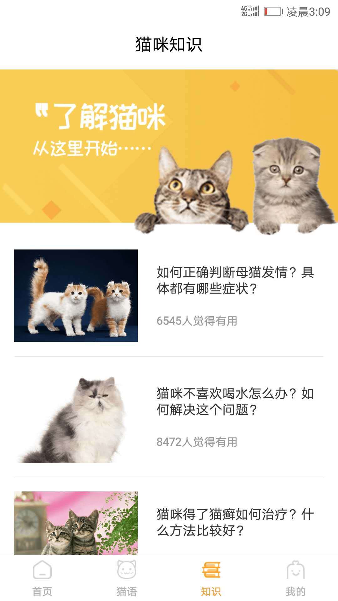 猫语翻译器