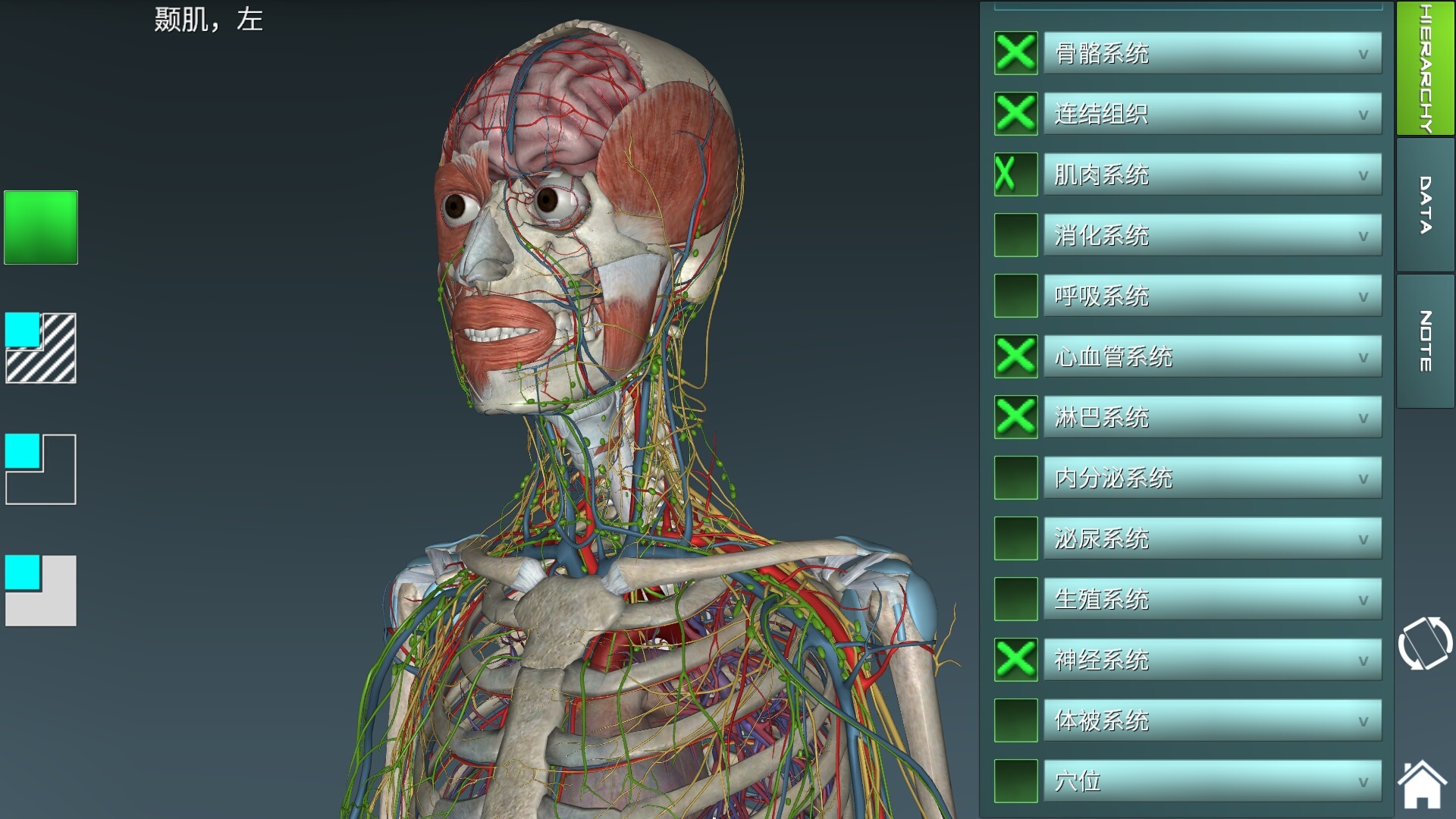人体解剖学图集_360应用