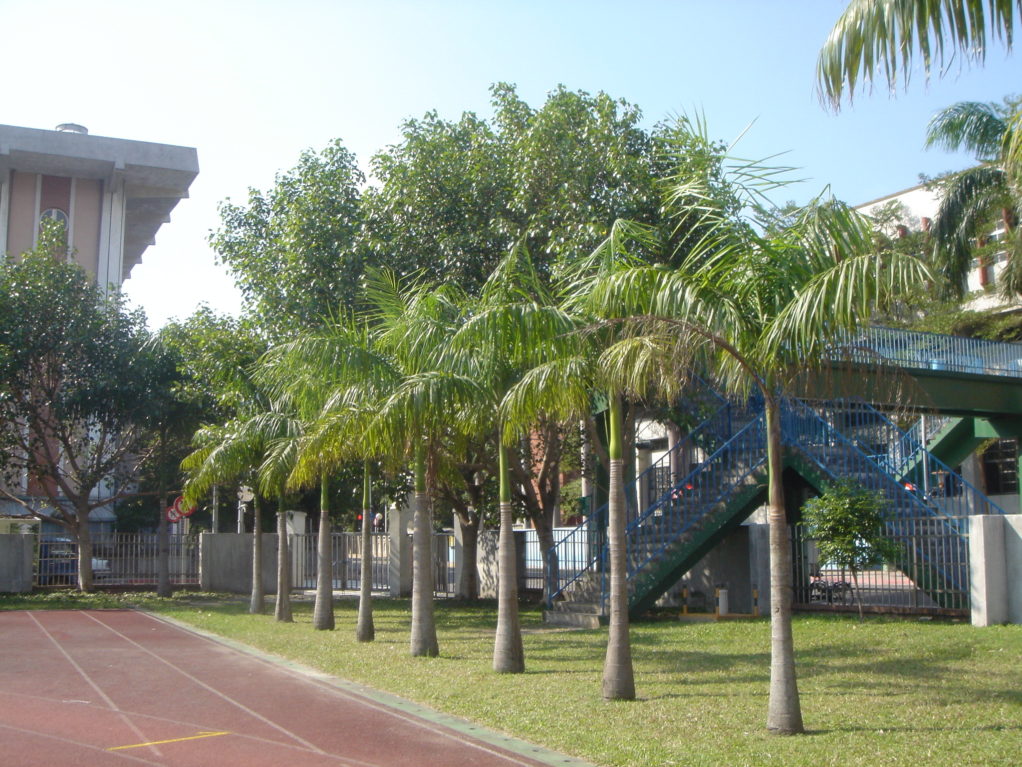 临朐县龙岗镇龙岗初级中学