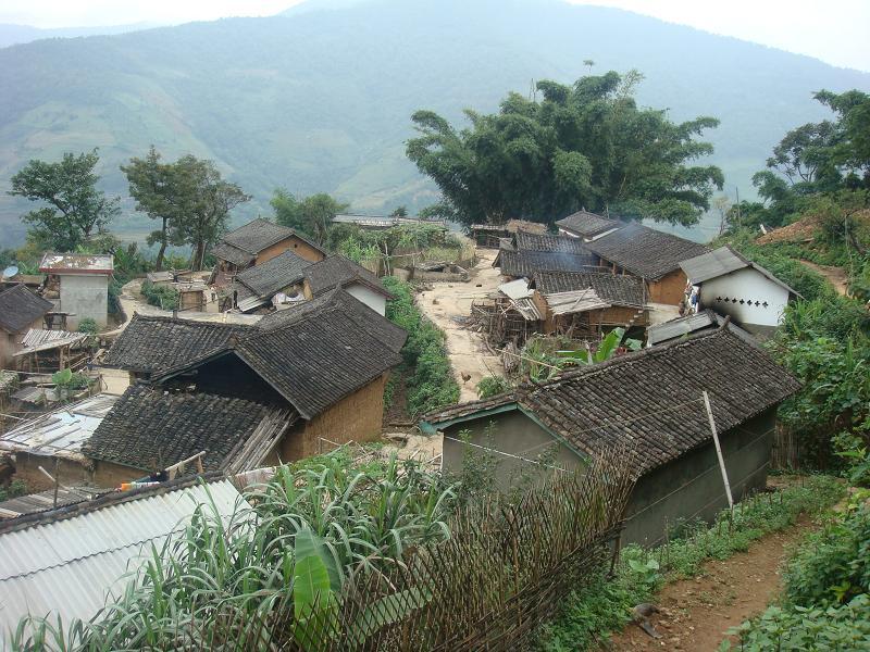 村情概况 倮爬卡渡桥自然村隶属于泗南江乡西歧村委会行政村,属于典型