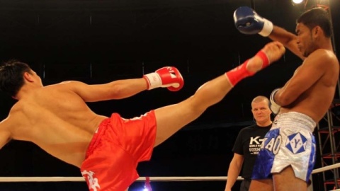 张开印ko-360视频搜索